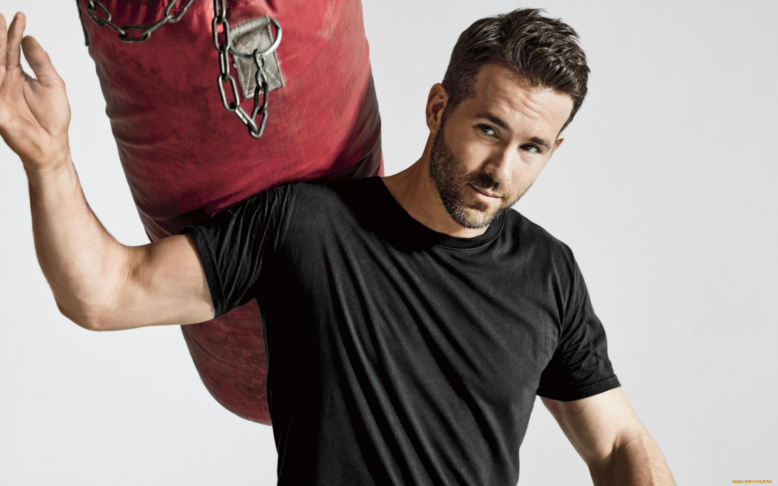 , ryan reynolds, 